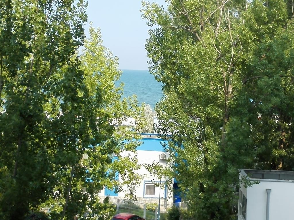 Blue Bike Studio Mamaia Rum bild